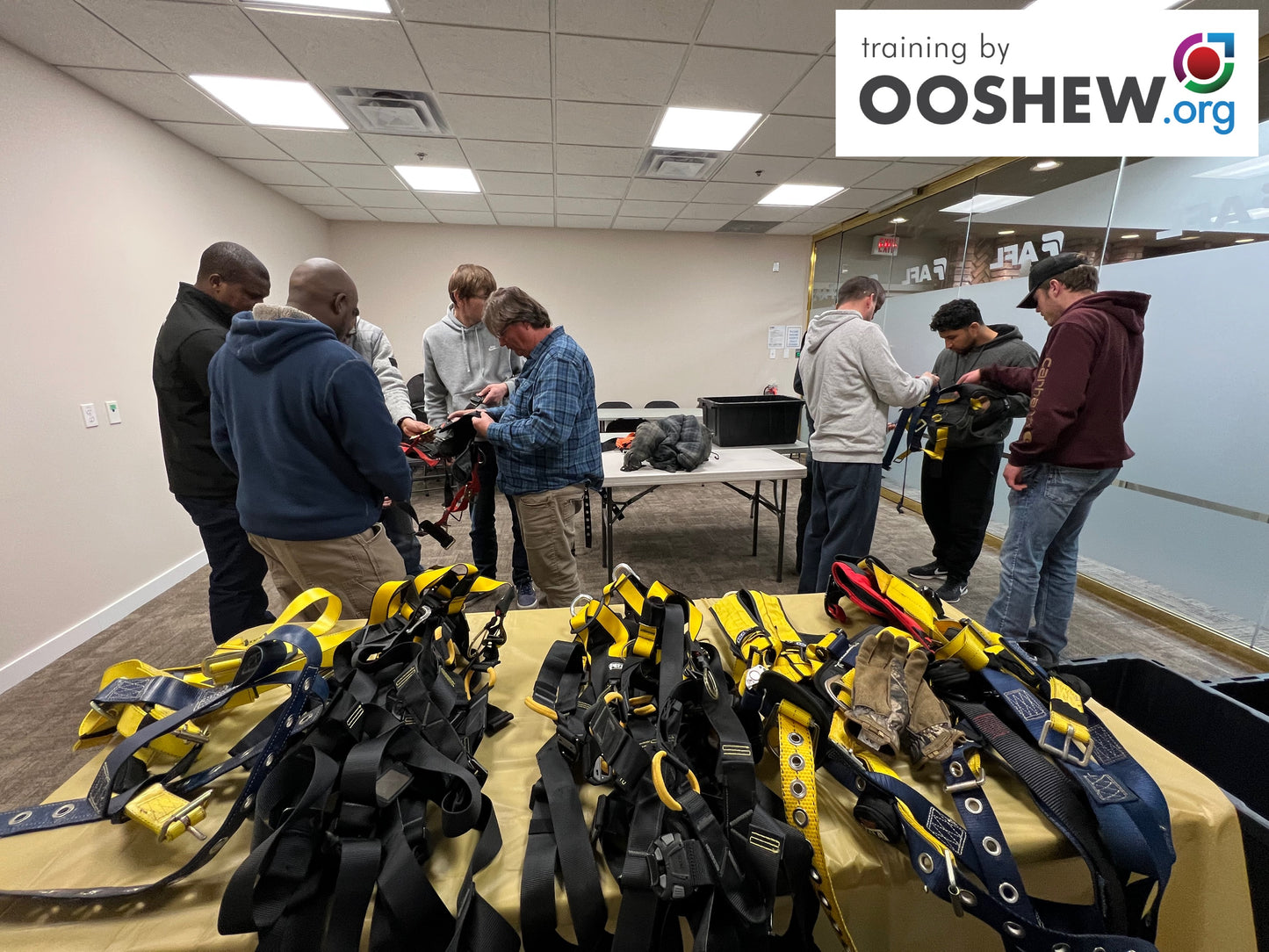 Fall Protection - Fall Restraint