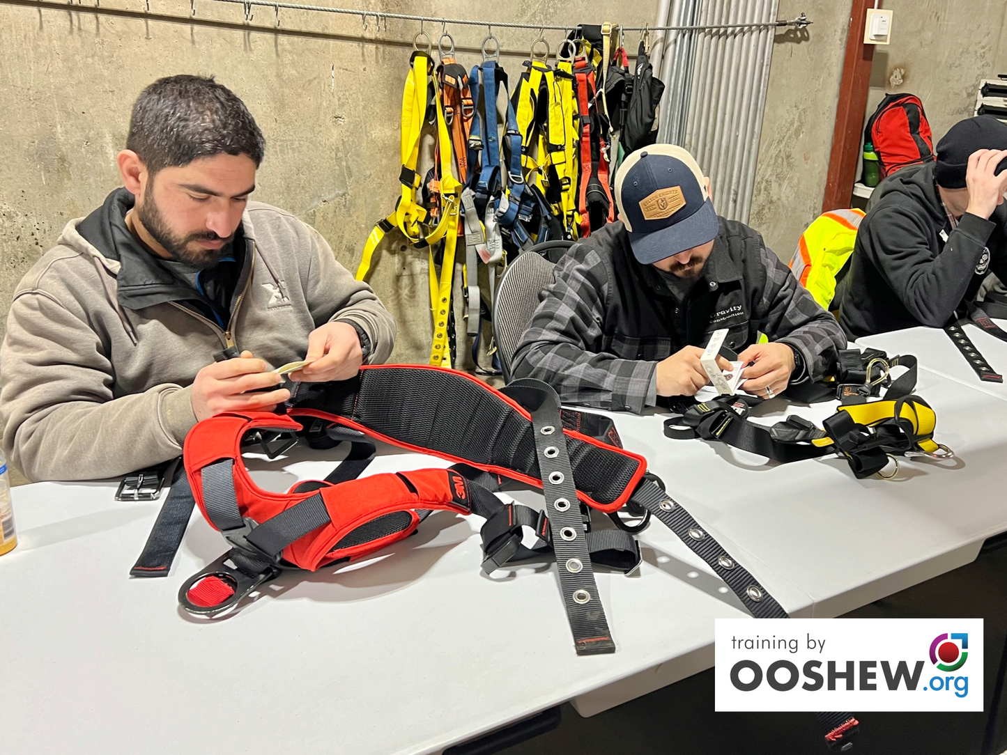 Fall Protection - Fall Arrest