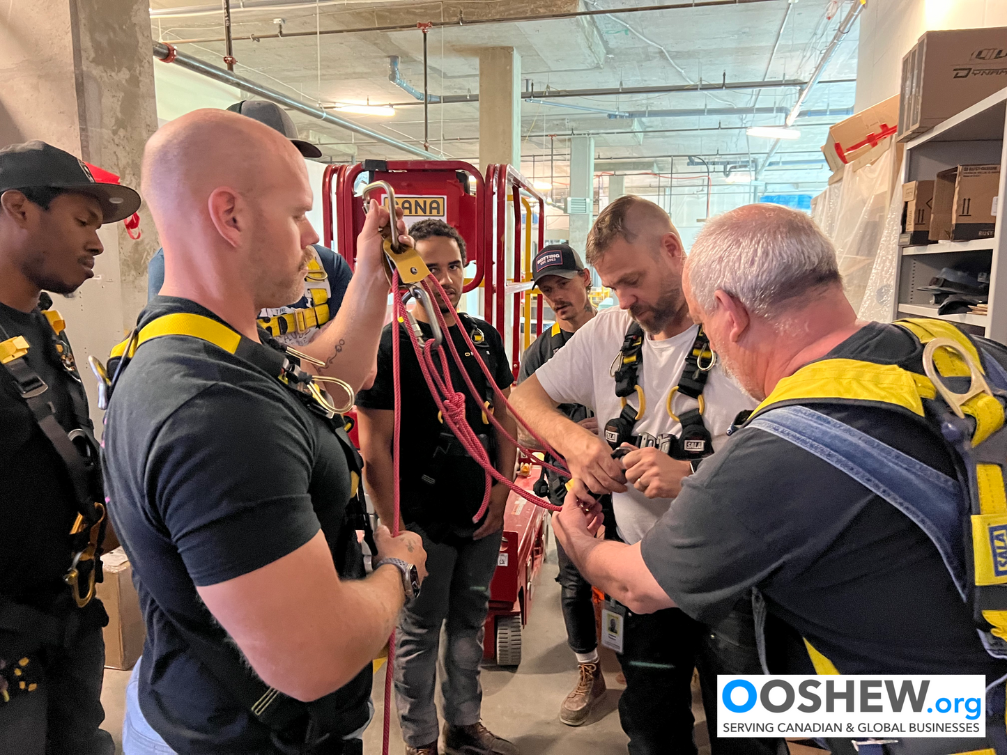 Fall Protection - Fall Arrest