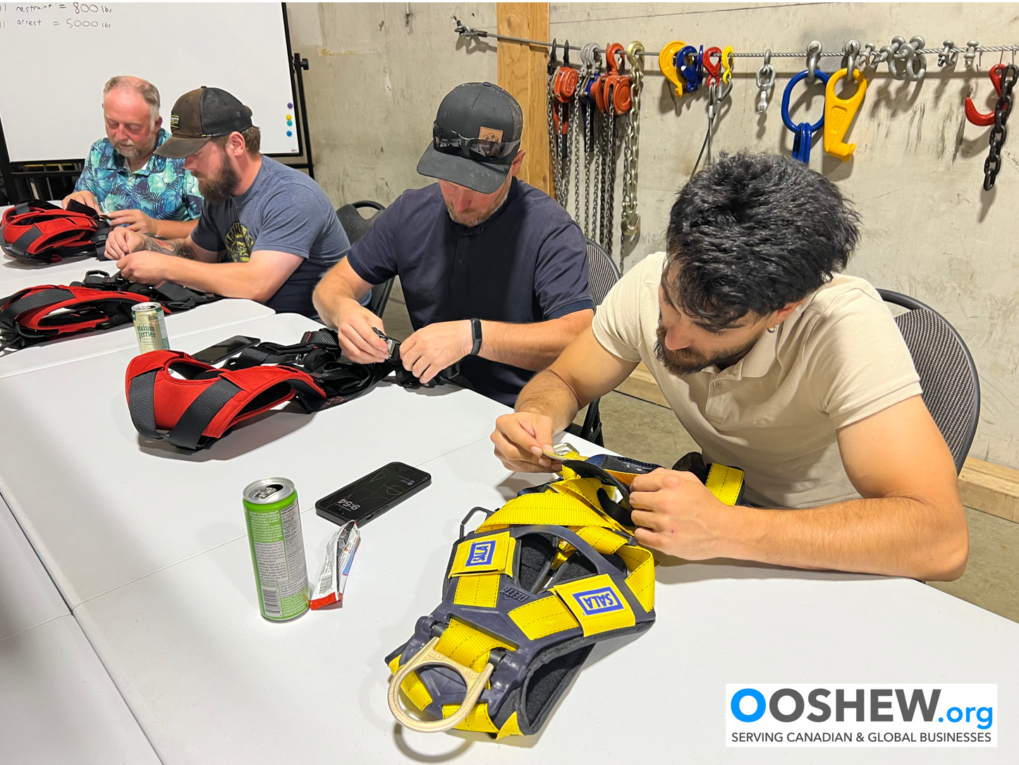 Fall Protection - Fall Restraint