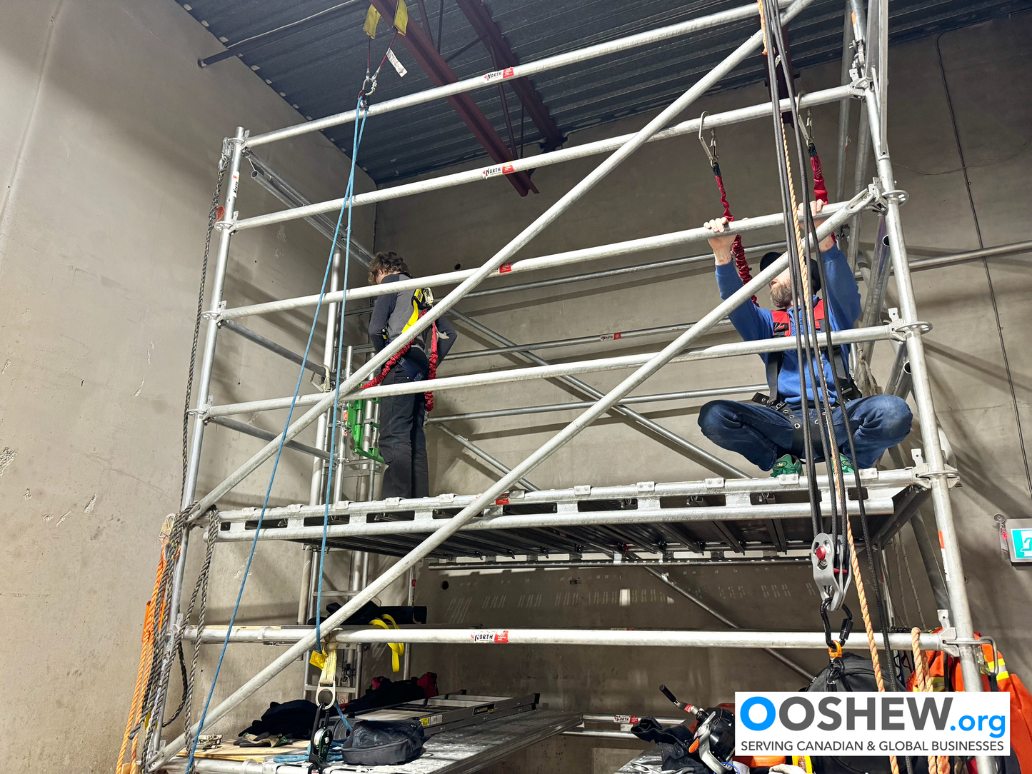 Fall Protection - Fall Arrest