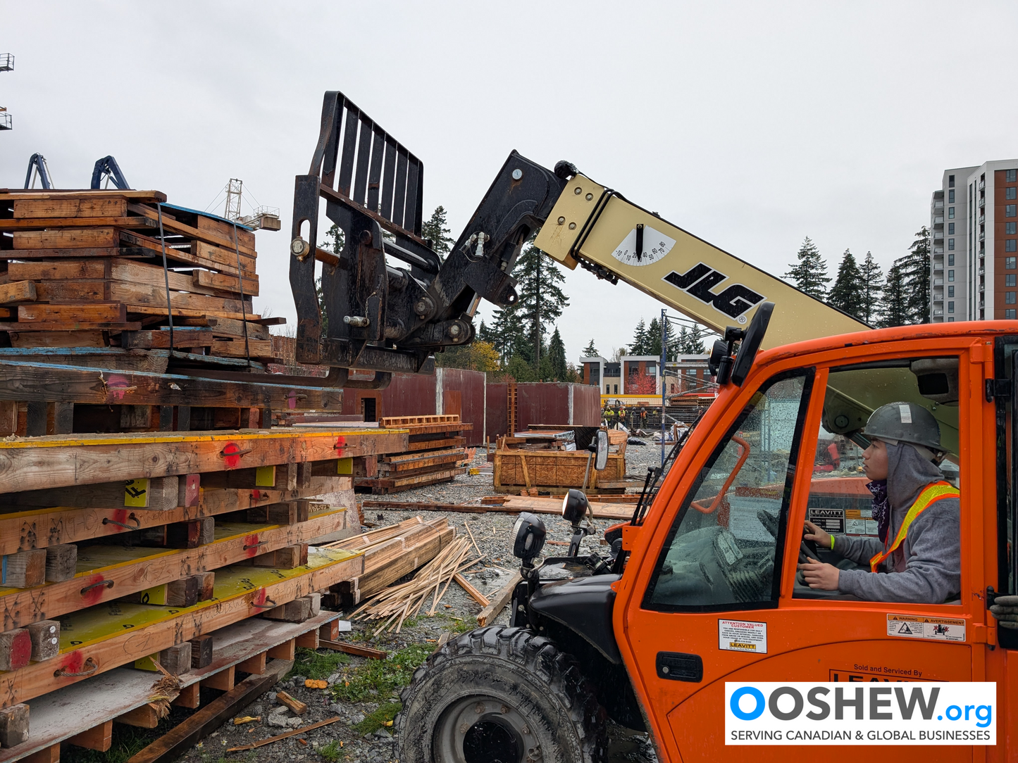 Rough Terrain Forklift and Telehandler